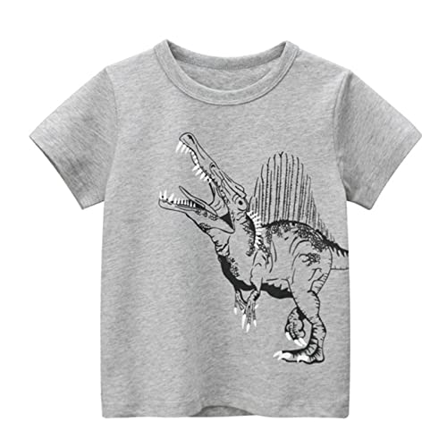 Saca Corazones Camisetas de Cuello Redondo de Manga Corta de Dinosaurio para niños pequeños y bebés, Camisetas, Ropa para niños Saco Cubre Capazo Universal (Grey, 1-2 Years)