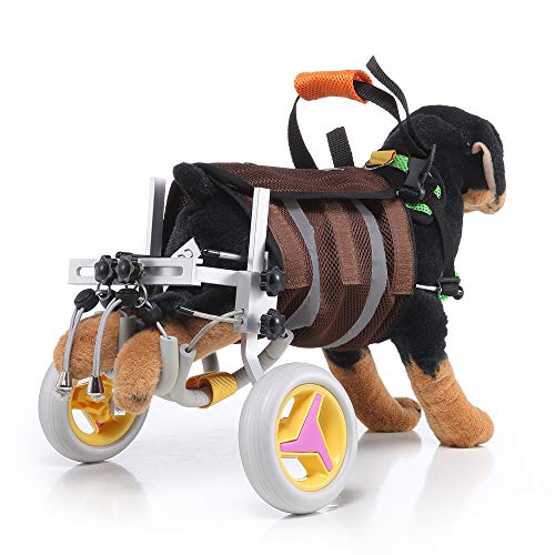 Sobotoo Silla de ruedas para mascotas, silla de ruedas ajustable para perro con discapacidad asistida, paseo en coche para mascotas, ejercicio de piernas traseras para rehabilitación de patas
